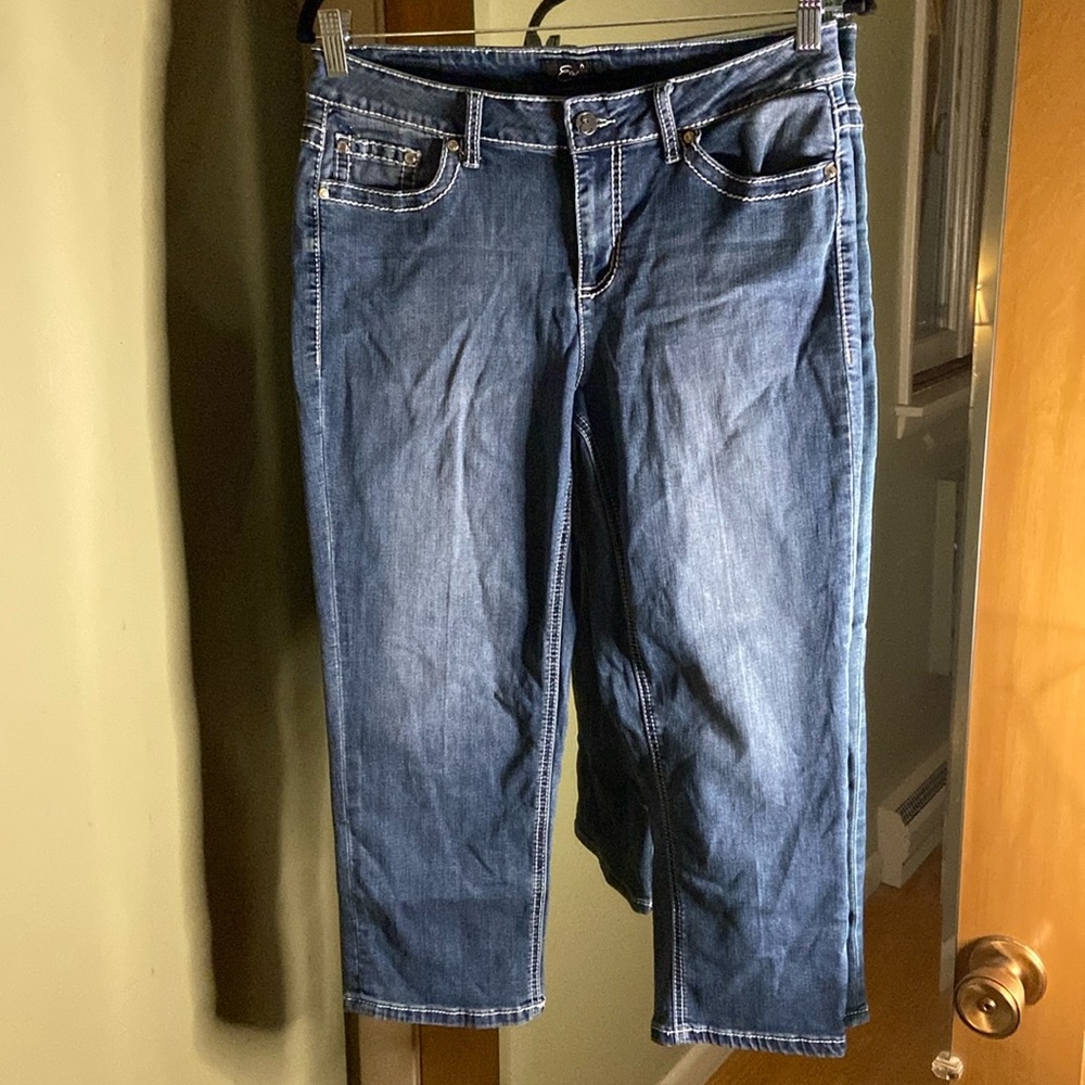 Earl jeans capris size 12